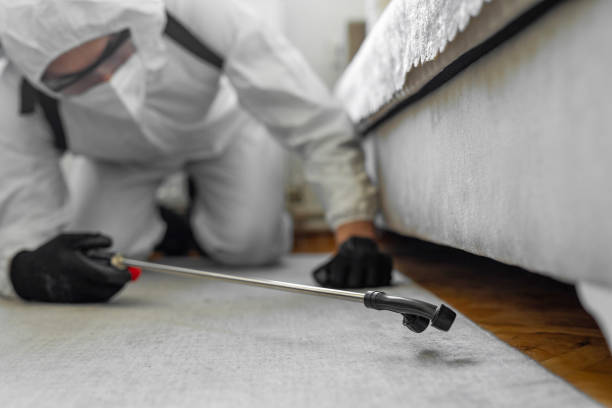 Professional Pest Control technician working in Clinton County County, OH